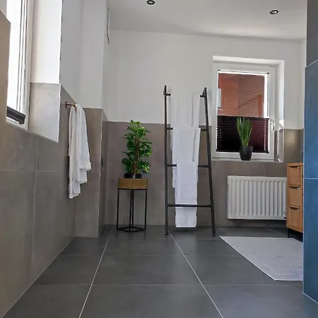 Tritscher * سالفلدن ام ستينه